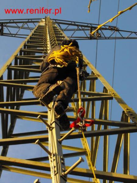 alpinistyczne prace wysokościowe renifer Kraków